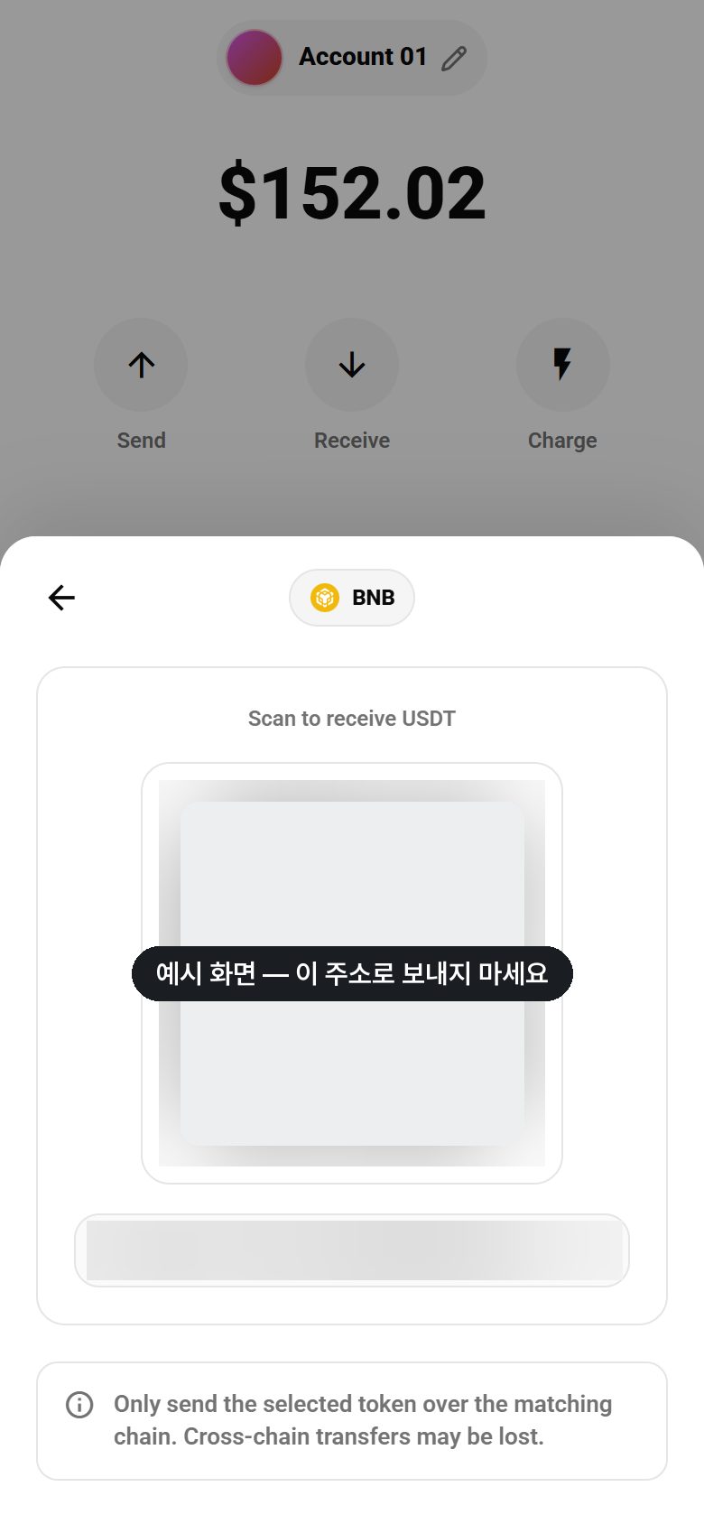 입금 주소 · QR