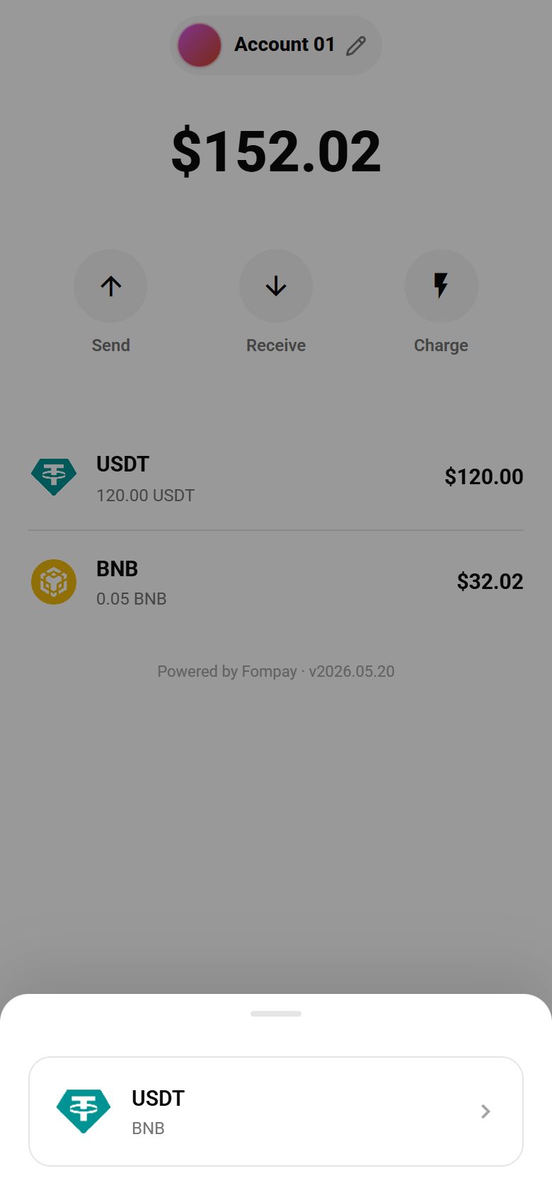 Charge → USDT / BNB